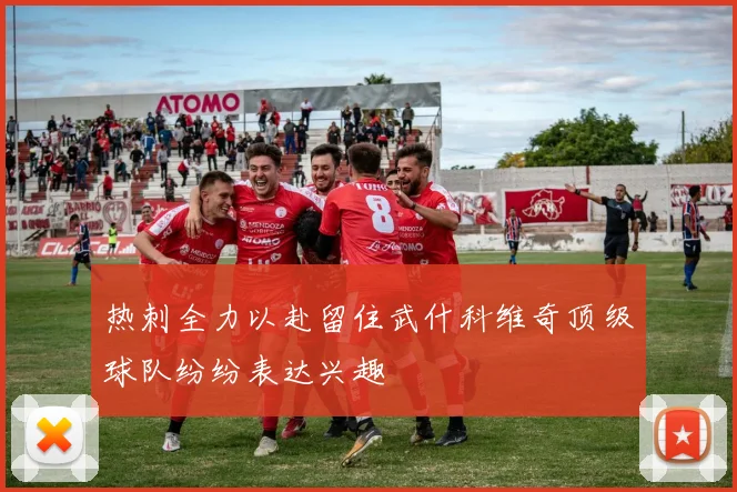 热刺全力以赴留住武什科维奇顶级球队纷纷表达兴趣
